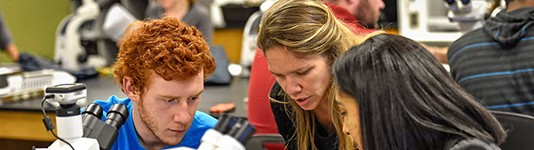 Image of students in a library