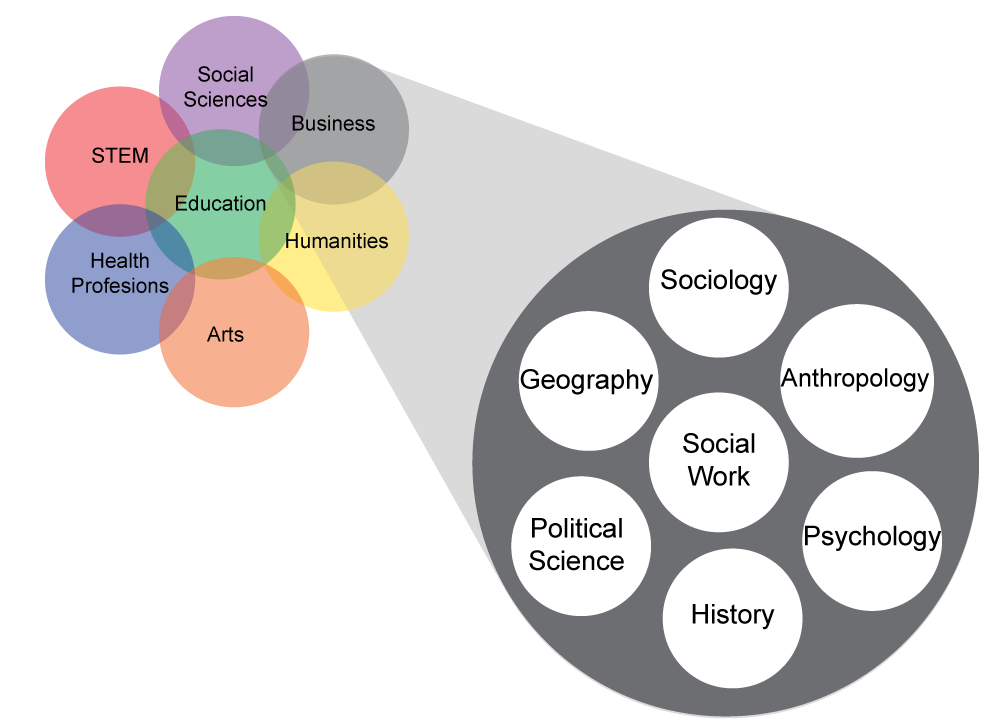 Focus Areas Graphic with pop-out for Social Sciences